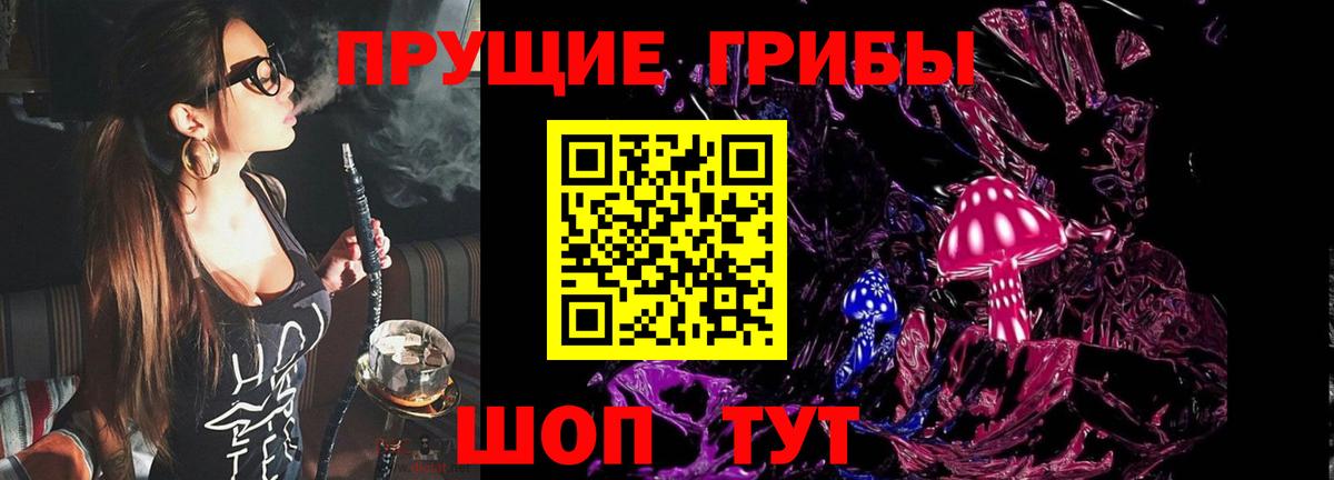 Псилоцибиновые грибы GOLDEN TEACHER  где найти наркотики  Гусиноозёрск  Вход с VPN 