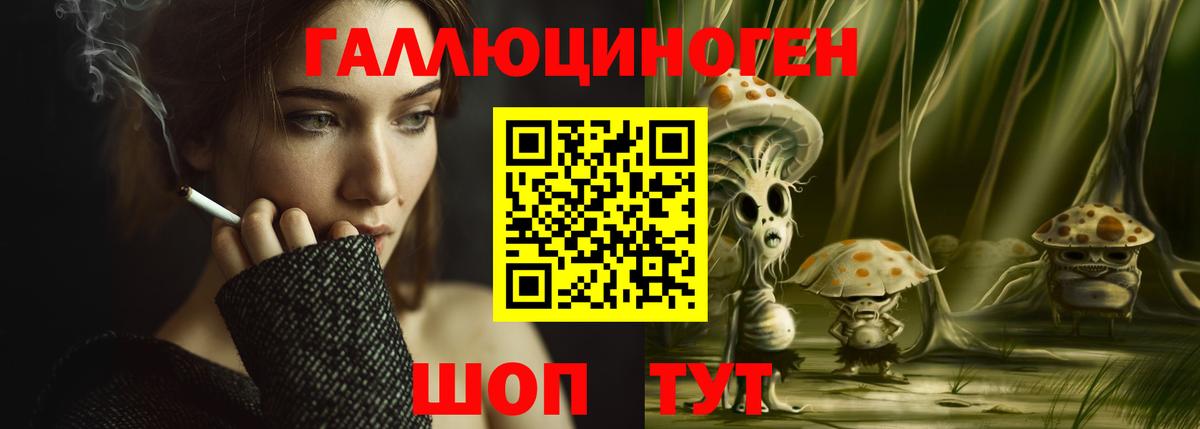 Галлюциногенные грибы Cubensis Гусиноозёрск